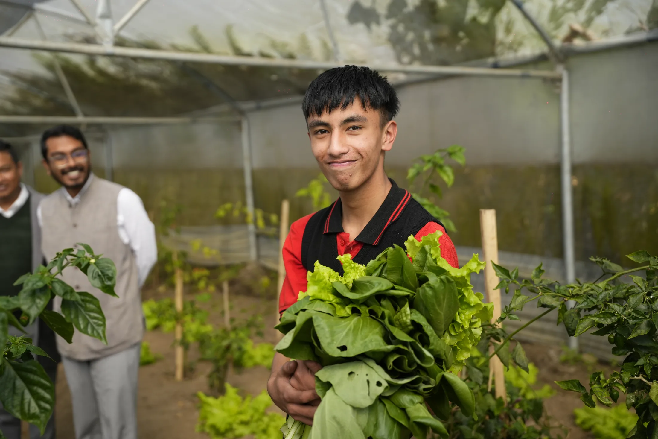 Nutrition: Why food literacy should begin in childhood
