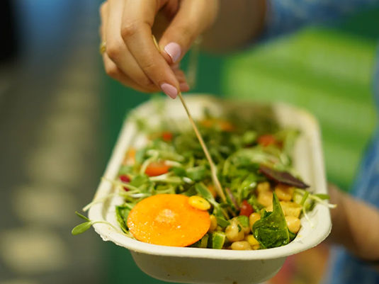 Salad / Microgreens